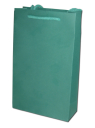 Torebka prezentowa T1 100 x 190 x 60 mm