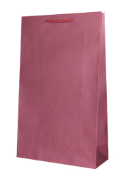 Torebka prezentowa T5 350 x 560 x 120 mm