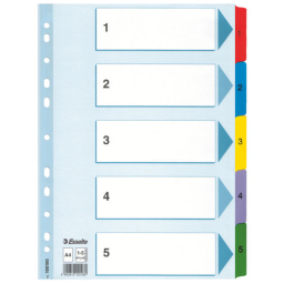Przekładki A4 ESSELTE 1-5 Mylar, kol. rewersy /100160/