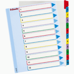 Przekładki A4 ESSELTE Maxi Mylar kolorowe,  numeryczne 1-12 /100209/