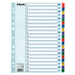 Przekładki A4 ESSELTE 1-20 Mylar, kol. rewersy /100163/