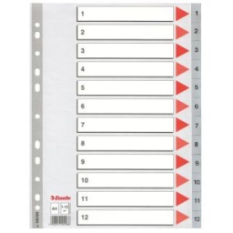 Przekładki A4 ESSELTE plastikowe /1-12/ 100106