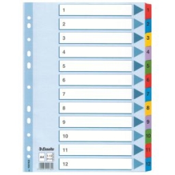 Przekładki A4 ESSELTE Mylar kartonowe, 1-12 /100162/