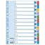 Przekładki A4 ESSELTE Mylar kartonowe, 1-12 /100162/